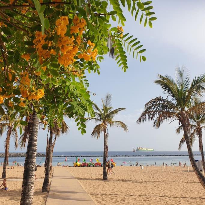 San Andres Beach View Apartment Екстер'єр фото